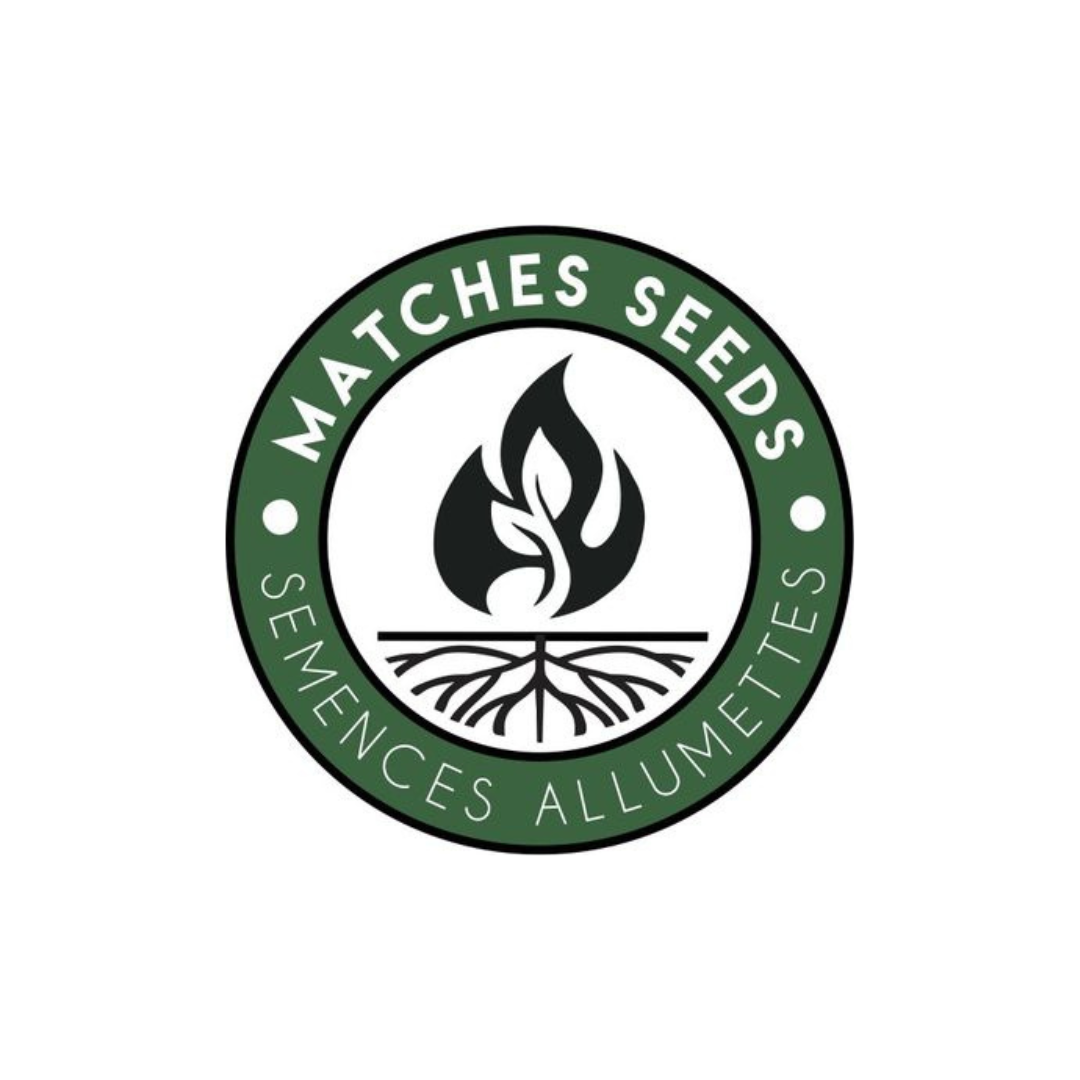 Storm_distributors-matches seeds logo